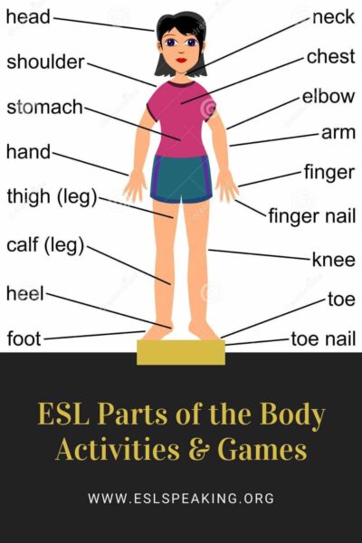 Parts Of The Body Lesson For Esl