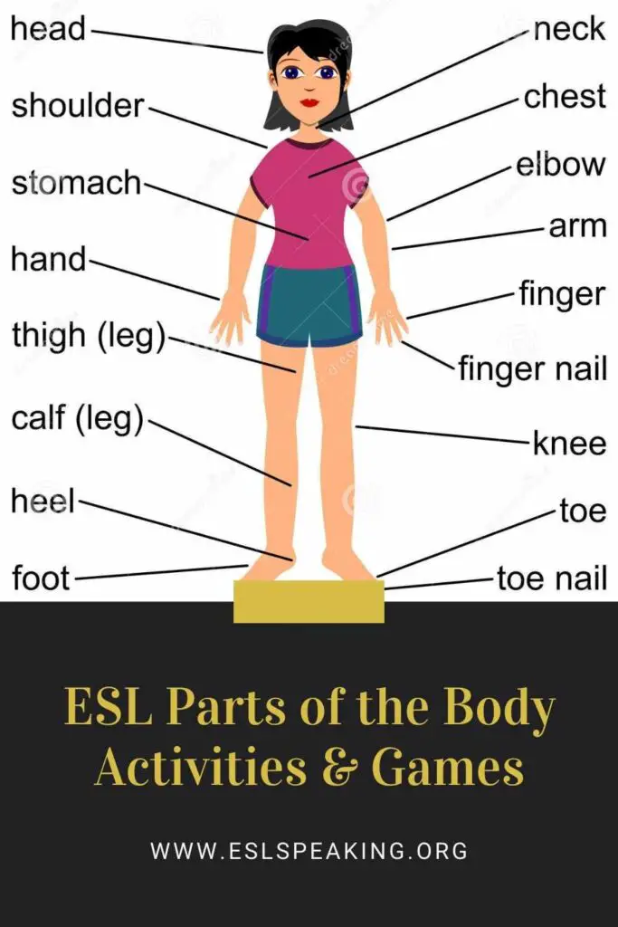 body-parts-esl-activities