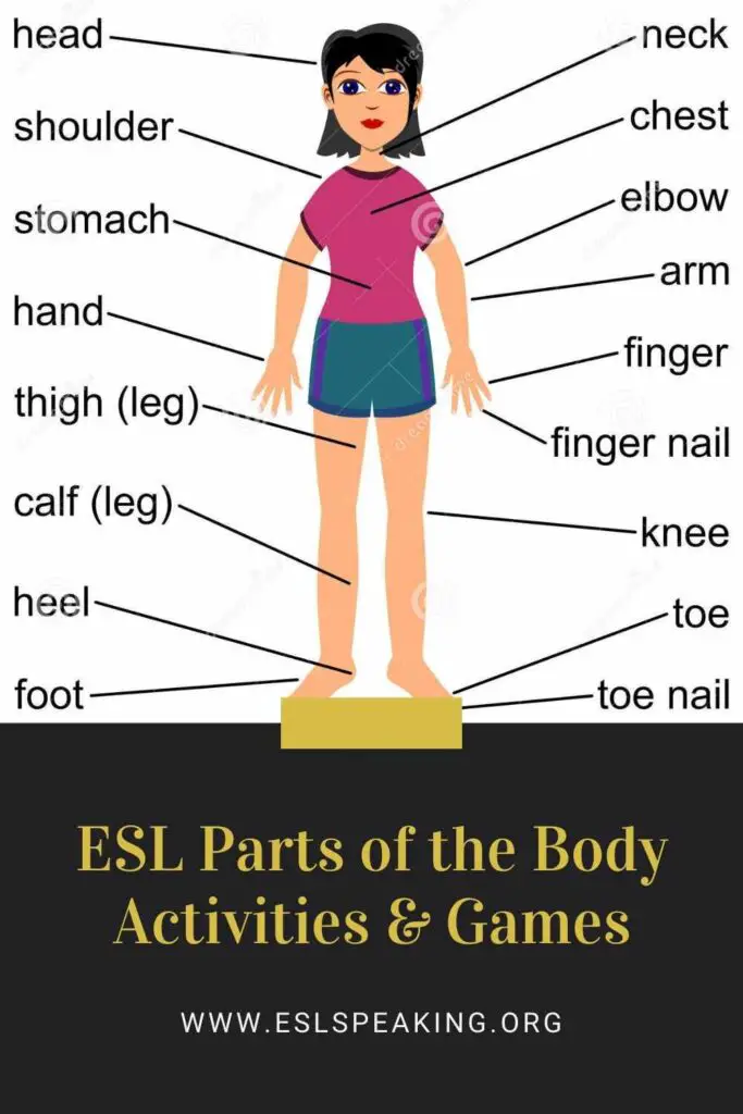 Body Parts ESL Games Activities Lesson Plans Worksheets More