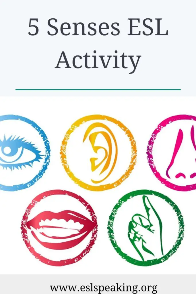 5-senses-activity
