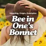bee in one's bonnet meaning origin examples