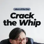 idiom of the day crack the whip