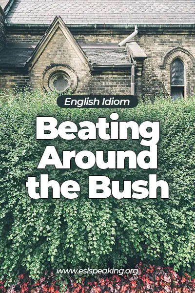 beating around the bush