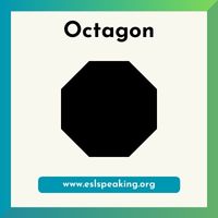 octagon 