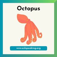 octopus clipart 