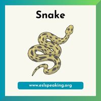 snake clipart