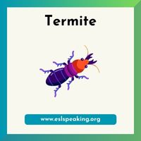termite clipart