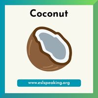 coconut clipart 