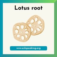 lotus root clipart