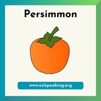 persimmon clipart