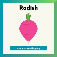 radish clipart