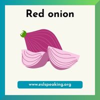 red onion clipart