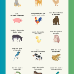 animals and their sounds chart