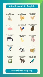 Animals and their Sounds (List & Pictures) | Animal Onomatopoeia