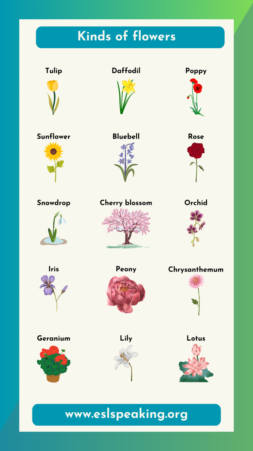 Names of Flowers in English List of Different Flowers ESL Speaking