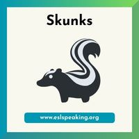 skunk clipart