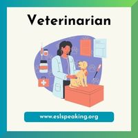 Veterinarian clipart