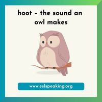 Animals and their Sounds (List & Pictures) | Animal Onomatopoeia