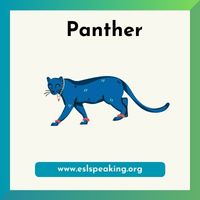 Panther