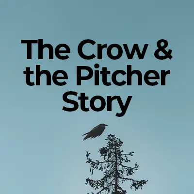 The Crow and the Pitcher: Reading Comprehension Activity
