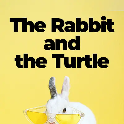 The Hare and the Tortoise: Reading Comprehension Activity