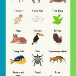 Animals that start with T